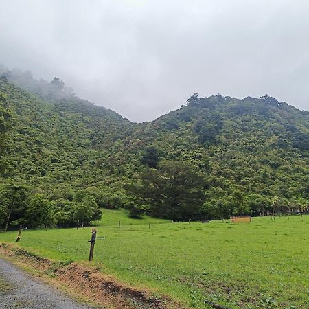 Gumboot Paradise Eco Stay Barrytown Exteriör bild